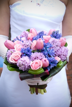 casablanca lily flower. Casa Blanca Lily Ranunculus