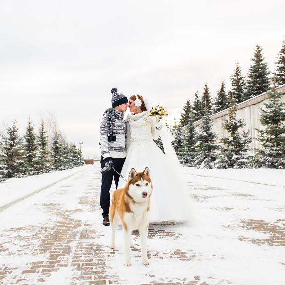 Dog in Wedding 