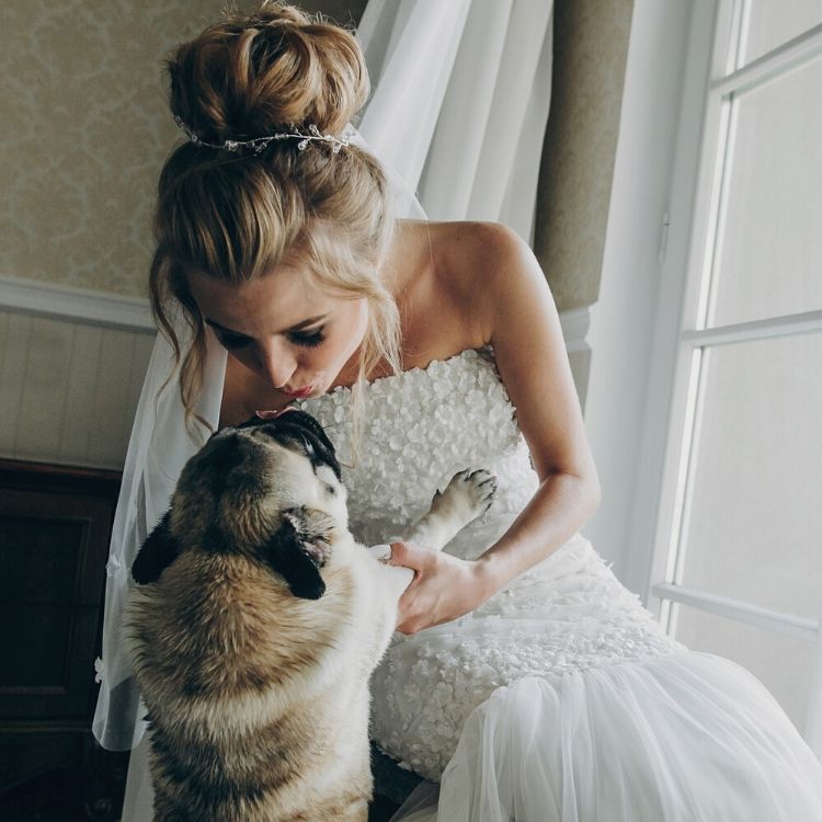 Including Pets in Your Wedding